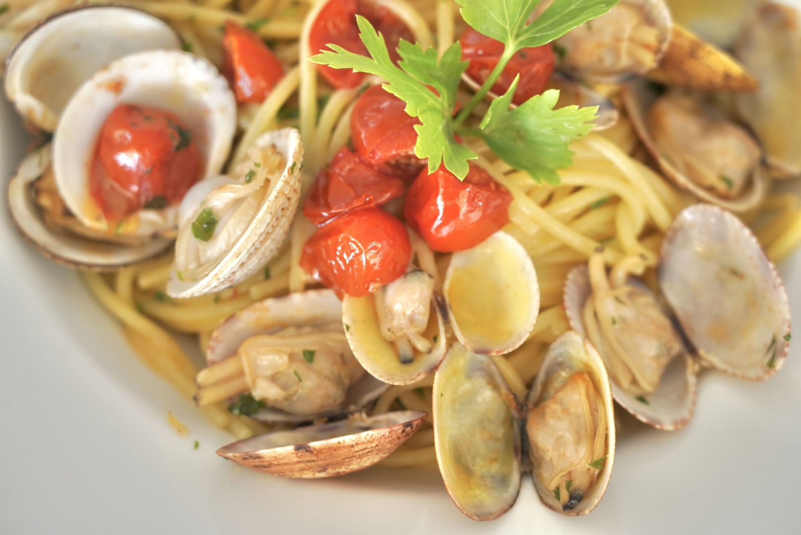 Piatti che raccontano la nostra storia
Dal pescato del giorno ai Paccheri alla Francesco, ogni ricetta nasce dalla nostra famiglia e dal mare che abbiamo davanti.